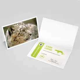 Snow leopard adoption card